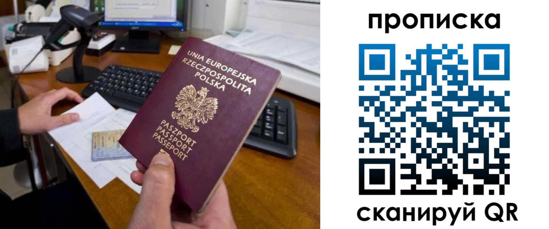 прописка для школы в Ртищево